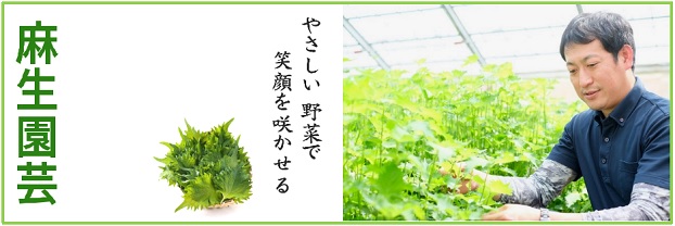 グリーンコープ 産直市場 / 【送料無料】無農薬栽培大葉（青しそ