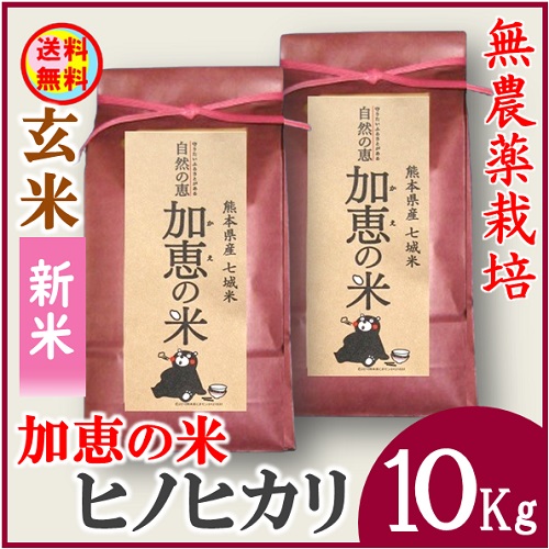 グリーンコープ 産直市場 / 【送料無料】熊本県 加恵の米 無農薬栽培ヒノヒカリ玄米１０Kg