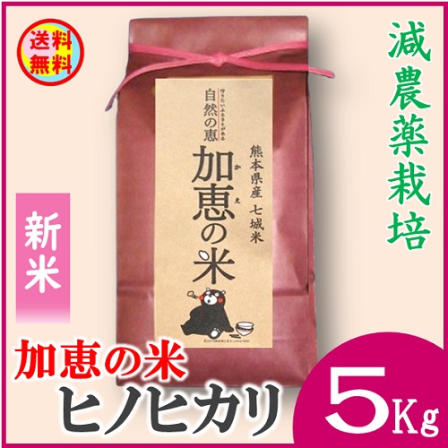 グリーンコープ 産直市場 / 【送料無料】熊本県 加恵の米 減農薬栽培ヒノヒカリ５Kg