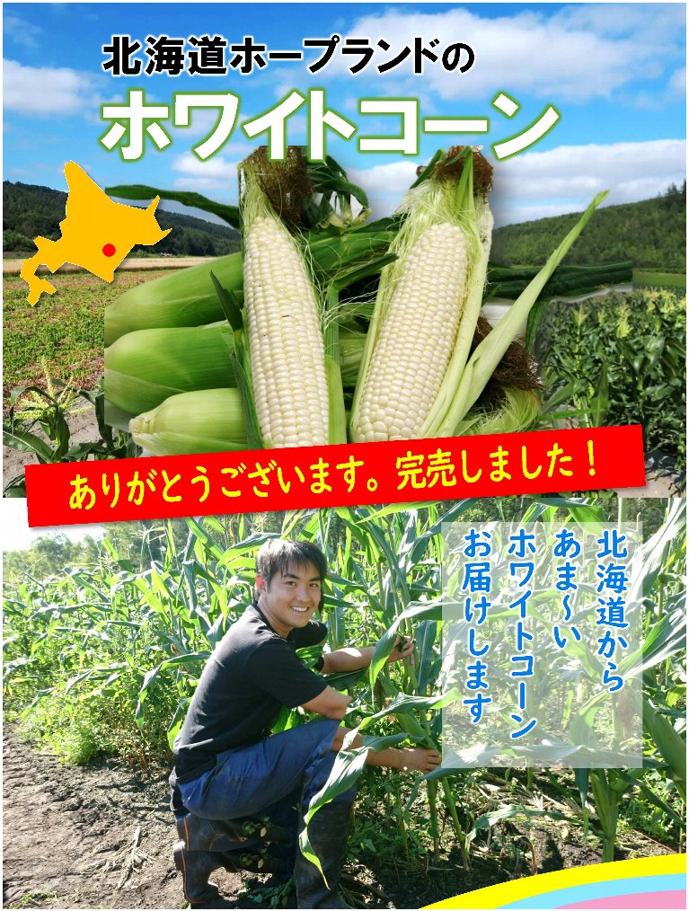 グリーンコープ 産直市場 / 北海道ホープランド ホワイトコーン 減農薬 美味しい 甘い